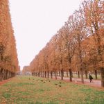 【秋のパリ観光】紅葉を楽しむならリュクサンブール公園がおすすめ！