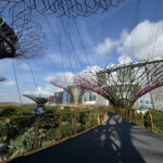 1歳子連れシンガポール旅行｜おすすめ観光スポット「ガーデンズバイザベイ」
